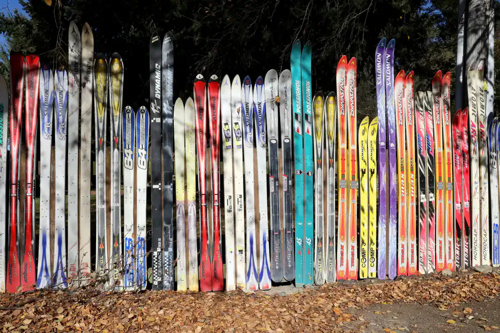 Row of modern alpine skis organized on a shop rack